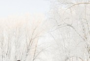 Фотограф Натуральная Татьяна