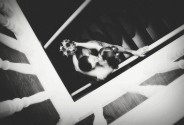 Фотограф Нитавский Дмитрий