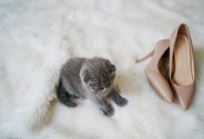 Фотограф Полховская Лера