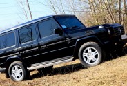Прокат автомобилей Renome-AUTO