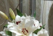Аксессуары из фоамирана Мир цветов и цвета
