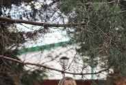 Свадебный регистратор Кузьмина Наталья