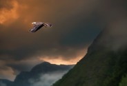 Фотограф Братанов Александр