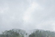 Фотограф Старцева Мария