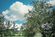 Фотограф Дуб Дмитрий