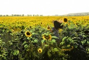 Фотограф Тихомиров Евгений