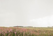 Фотограф Старцева Мария