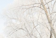 Фотограф Натуральная Татьяна