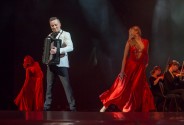 Аккордеонист Кобзарев Василий