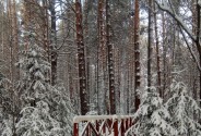 Банкетный зал Сердце Шумихи