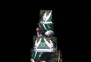 Световое шоу на торт Mapcake