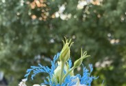 Салон цветов BLUMEN