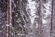Фотограф Натуральная Татьяна