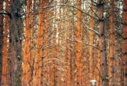 Фотограф Андреев Владимир