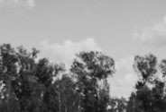 Фотограф Уточкина Надежда (madspace)