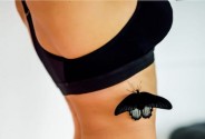 Студия особенных букетов/Живые бабочки Exotic_fly_krsk