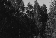 Фотограф Уточкина Надежда (madspace)