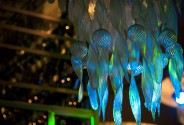 Siberian Restaurant & Bar RASPUTIN (РАСПУТИН)