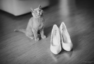 Фотограф Никифоров Семён 