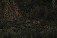 Фотограф Фёдорова Анна