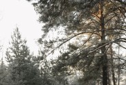 Фотограф Шарапова Ирина