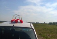 Студия Флорэль