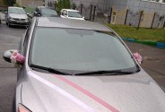 Студия Флорэль
