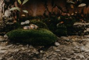 Фотограф Фёдорова Анна
