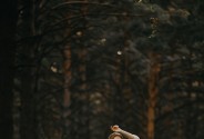 Фотограф Фёдорова Анна