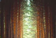 Фотограф Визави Вероника