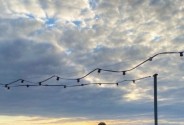 Купольные беседки на крыше Красноярска Sfera bar